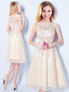 Champagne Scoop Lace Up Appliques Dama Dress for Quinceanera Sleeveless