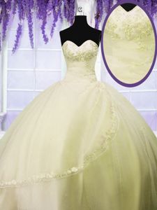 Wonderful Sleeveless Lace Up Floor Length Appliques Quinceanera Dresses