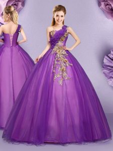 Flirting One Shoulder Purple Sleeveless Appliques and Ruffles Floor Length Quince Ball Gowns