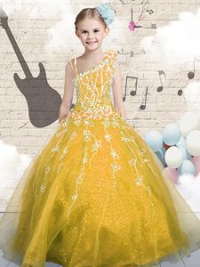 Sleeveless Tulle Floor Length Lace Up Little Girl Pageant Gowns in Orange for with Appliques