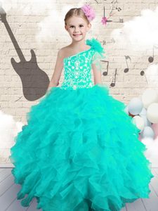 Custom Design One Shoulder Sleeveless Lace Up Pageant Dress Toddler Aqua Blue Organza