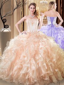 Comfortable Sleeveless Lace Up Floor Length Embroidery and Ruffles Sweet 16 Quinceanera Dress